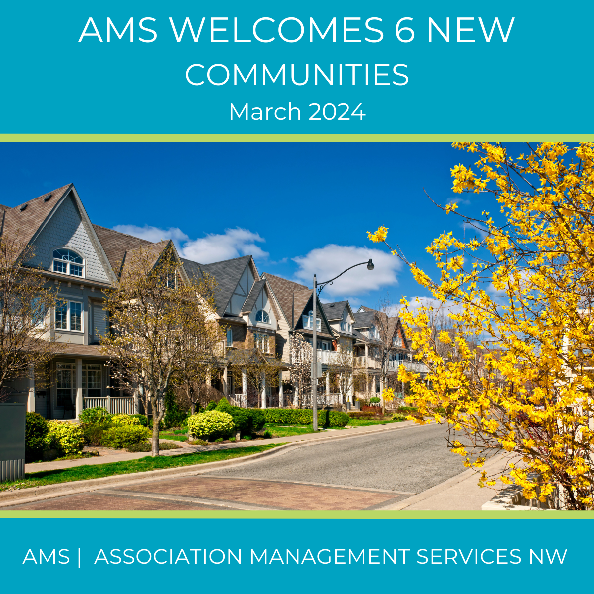 AMS Blog Post March 2024 Comm Featured Image
