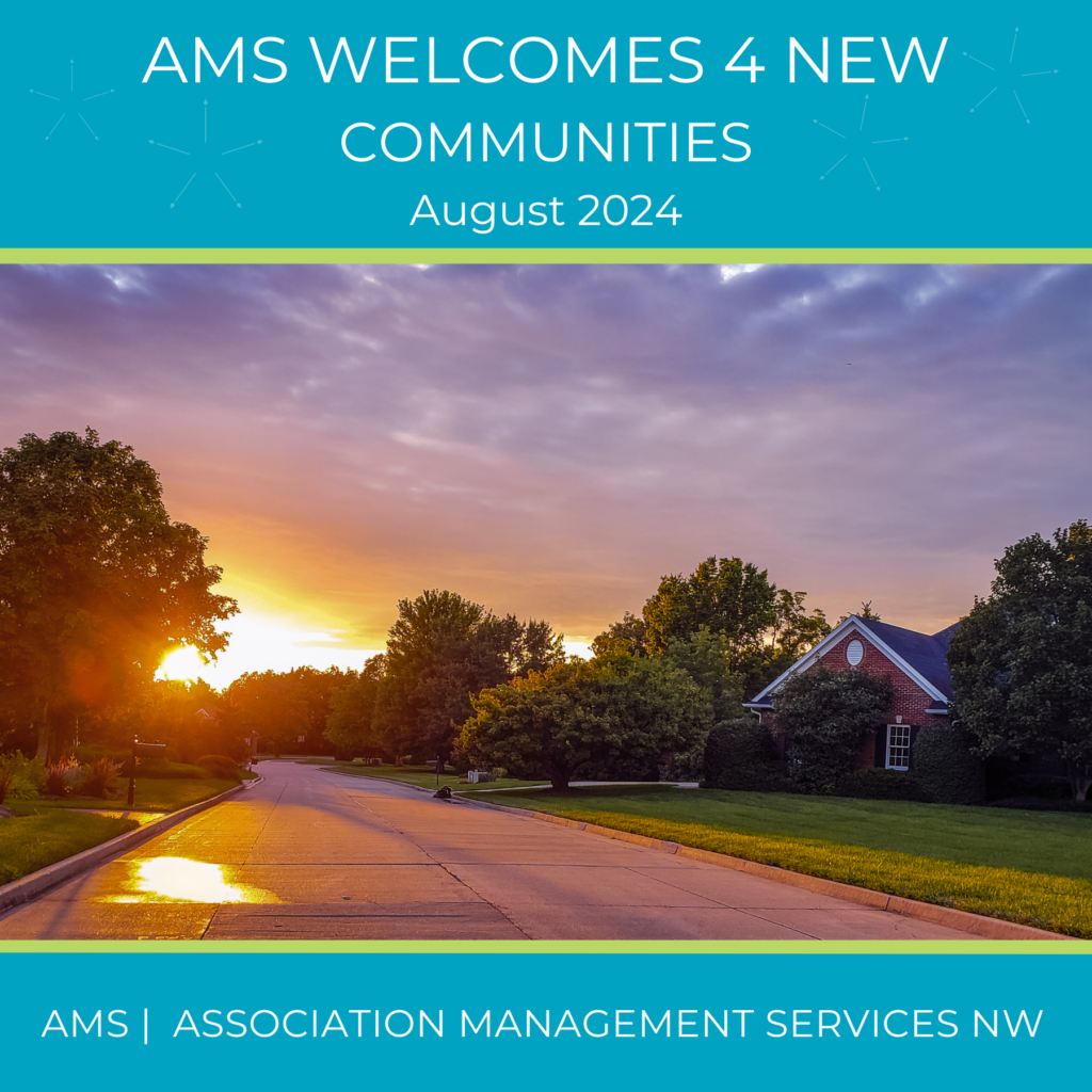 AMS Aug 2024 New Comm LinkedIn