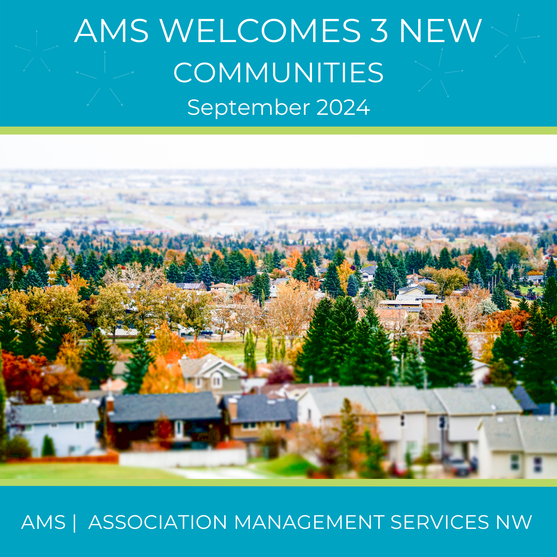 AMS Sept 2024 New Comm LinkedIn