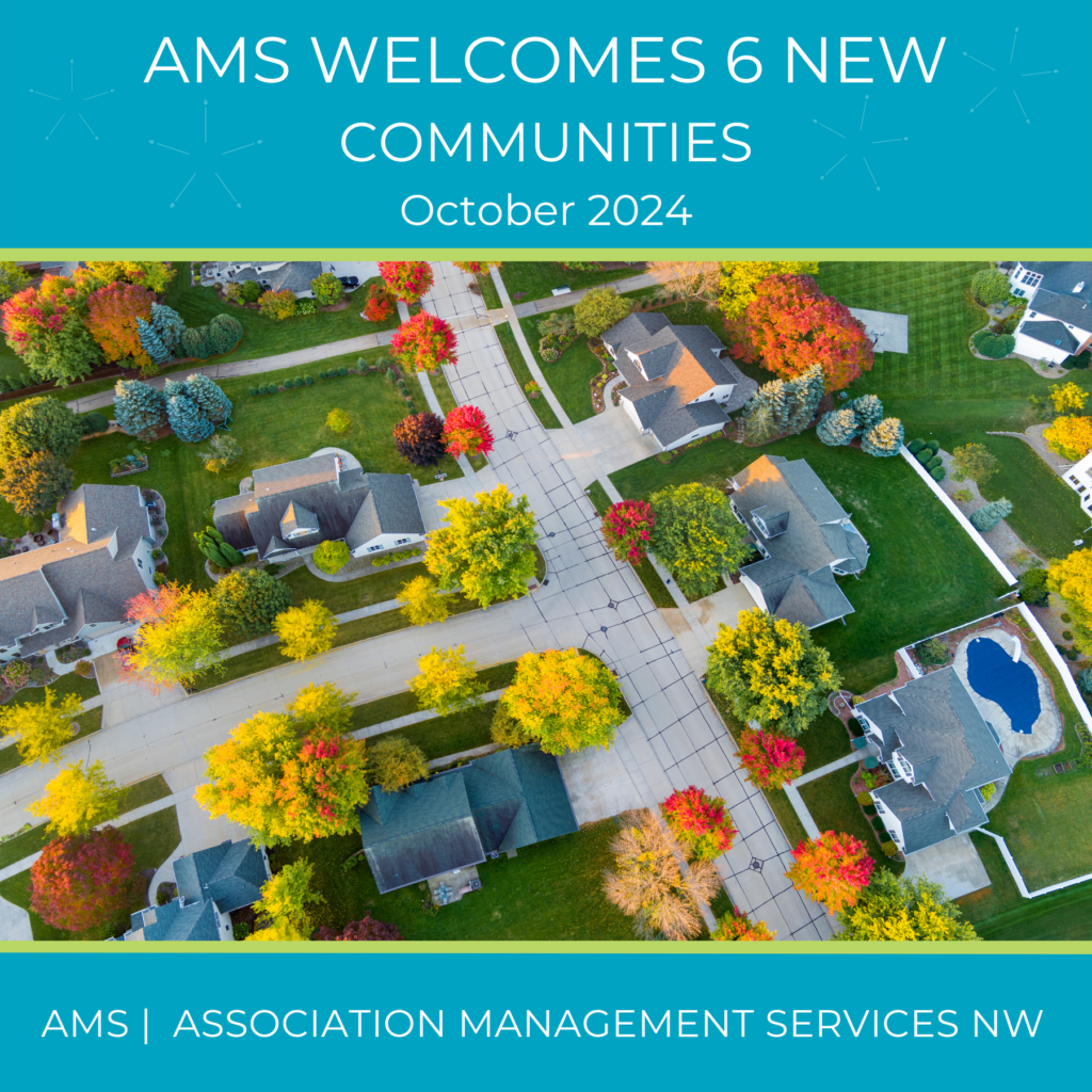 AMS Oct 2024 New Comm LinkedIn