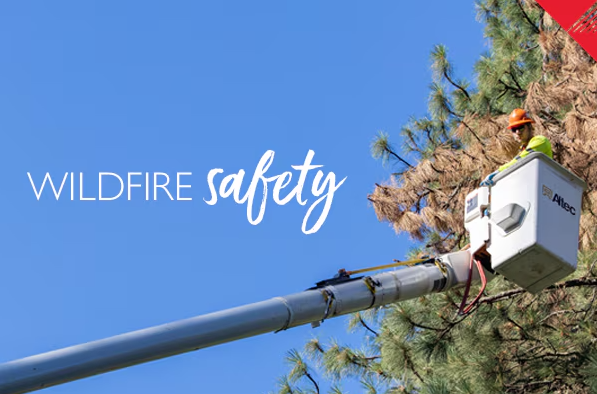 Wildfire Safety Header