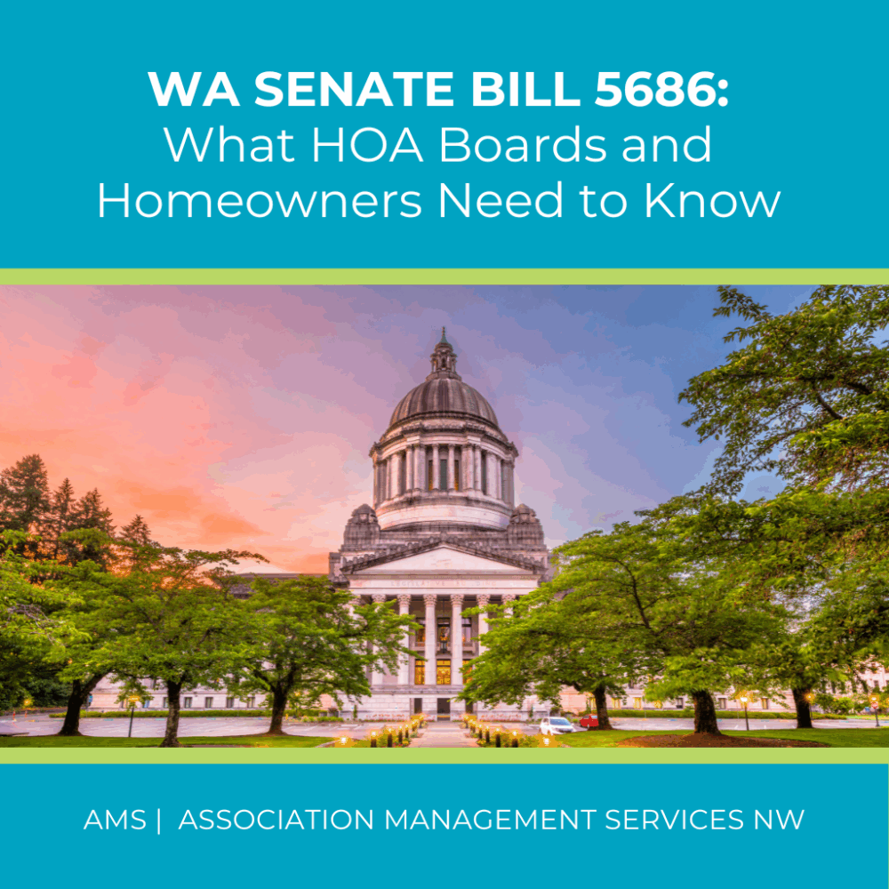 AMS Blog Post Featured Image Feb 2026