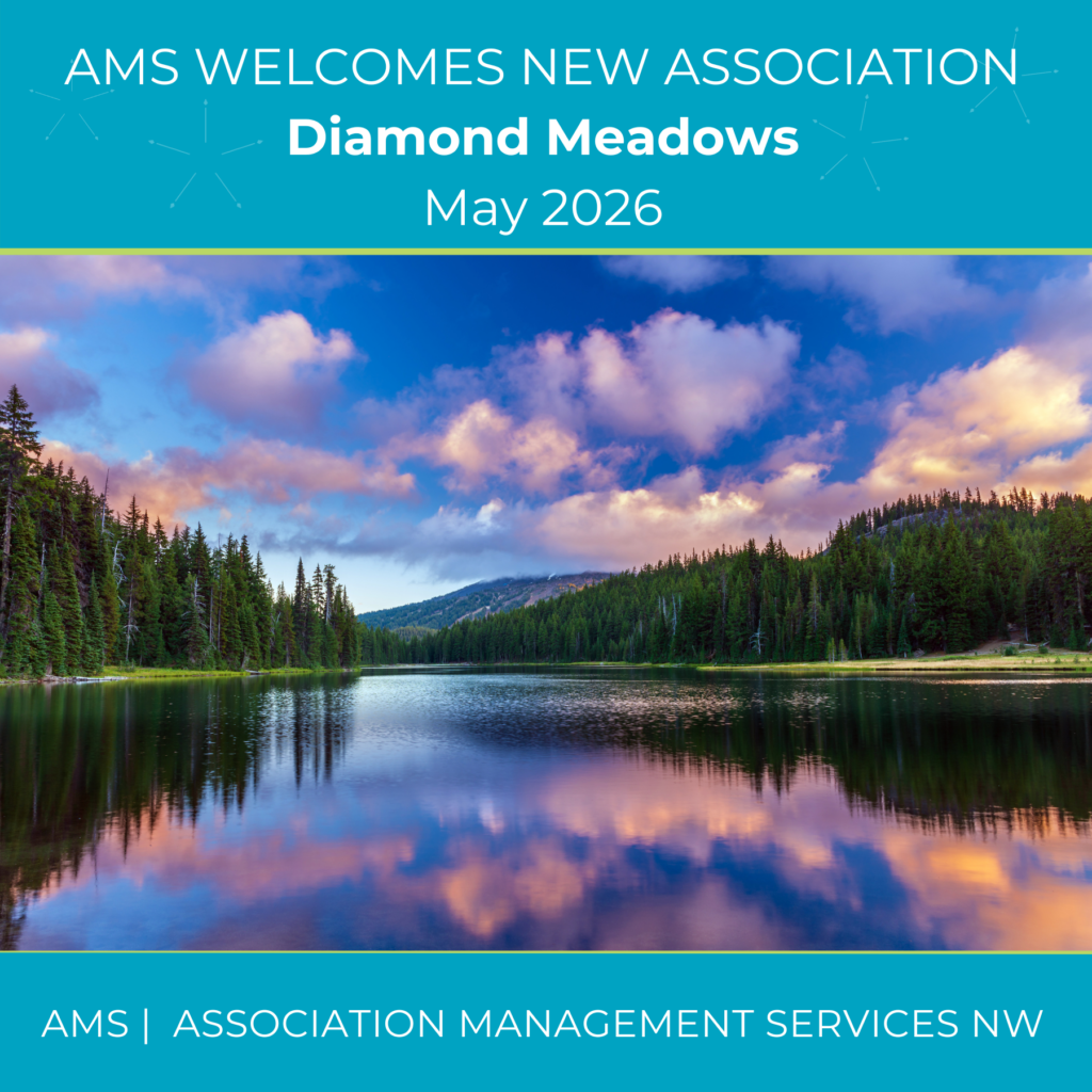 AMS May 2026 New Community Diamond Meadows